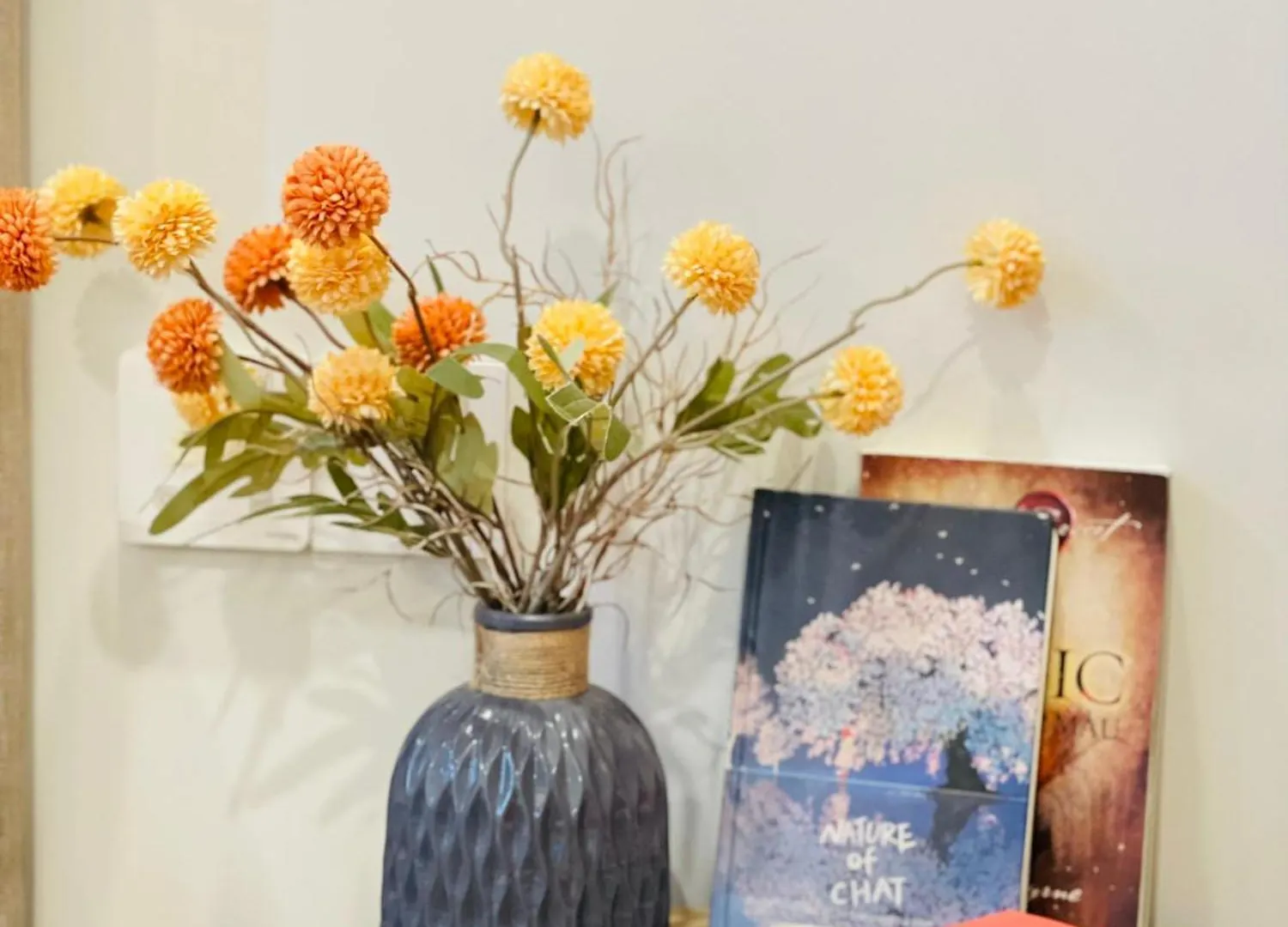 Pi'S Home - Can Ho Nghi Duong The Song Vung Tau Apartment
